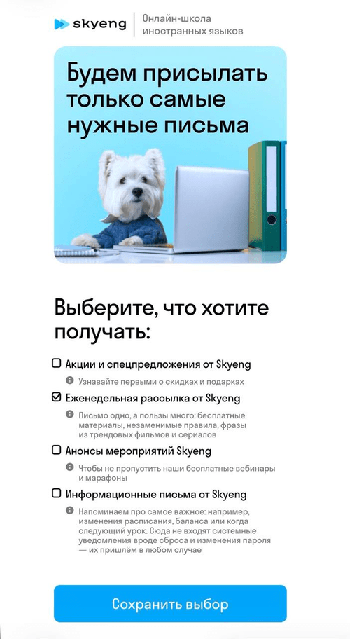 пример дайджеста Skyeng