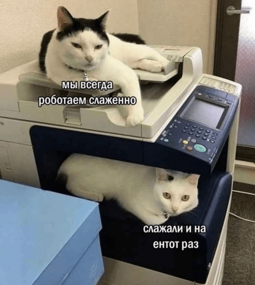 мем про командную работу