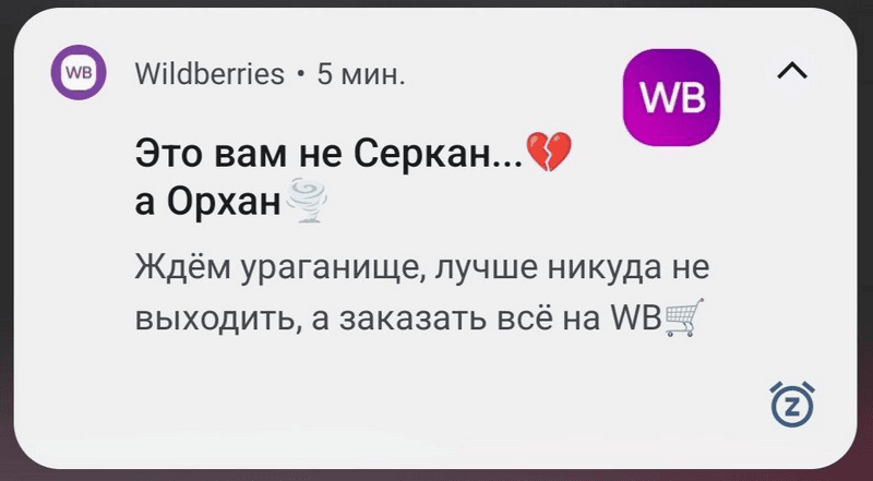 пример ньюсджекинга Wildberries