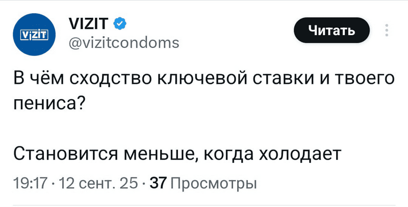 пример маркетинга Vizit