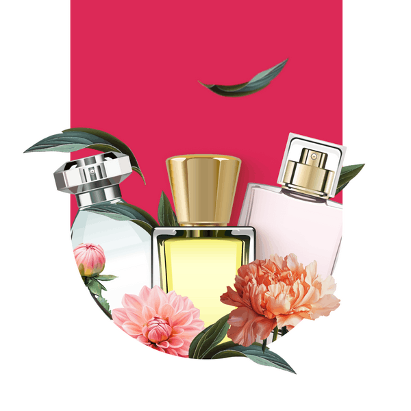 примеры рассылок для интернет-магазина