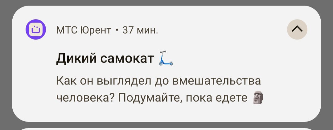 Мемы в пушах