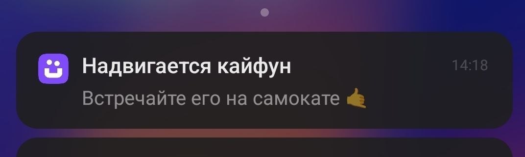 Мемы в пушах